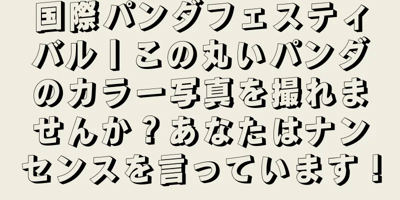 国際パンダフェスティバル丨この丸いパンダのカラー写真を撮れませんか？あなたはナンセンスを言っています！