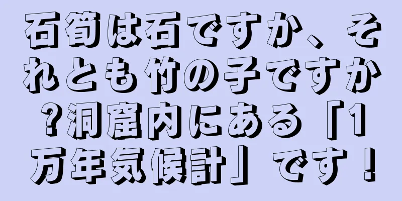 石筍は石ですか、それとも竹の子ですか?洞窟内にある「1万年気候計」です！