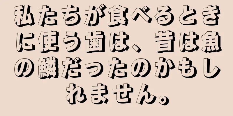 私たちが食べるときに使う歯は、昔は魚の鱗だったのかもしれません。