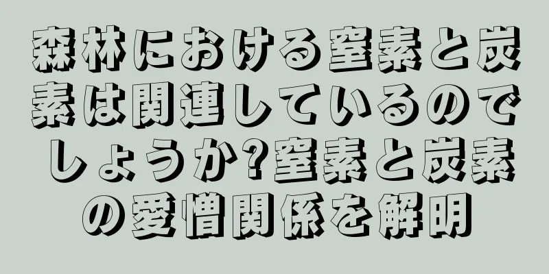 森林における窒素と炭素は関連しているのでしょうか?窒素と炭素の愛憎関係を解明