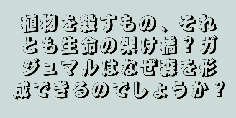 植物を殺すもの、それとも生命の架け橋？ガジュマルはなぜ森を形成できるのでしょうか？
