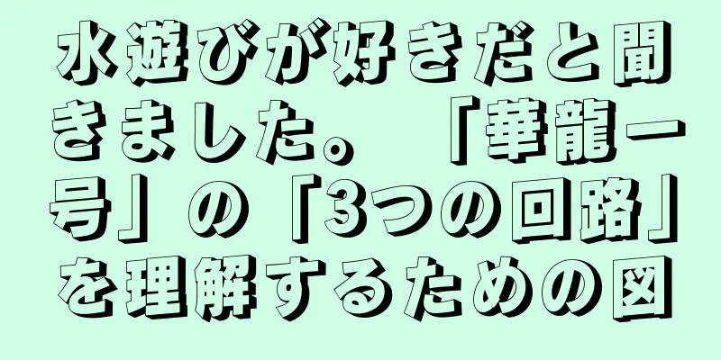 水遊びが好きだと聞きました。 「華龍一号」の「3つの回路」を理解するための図