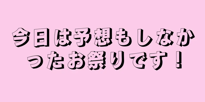 今日は予想もしなかったお祭りです！