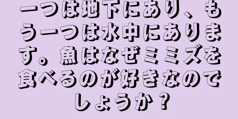 一つは地下にあり、もう一つは水中にあります。魚はなぜミミズを食べるのが好きなのでしょうか？
