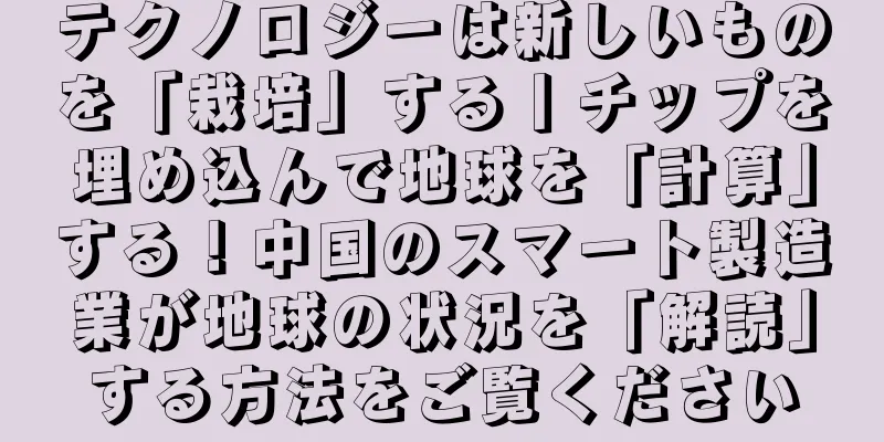 テクノロジーは新しいものを「栽培」する丨チップを埋め込んで地球を「計算」する！中国のスマート製造業が地球の状況を「解読」する方法をご覧ください