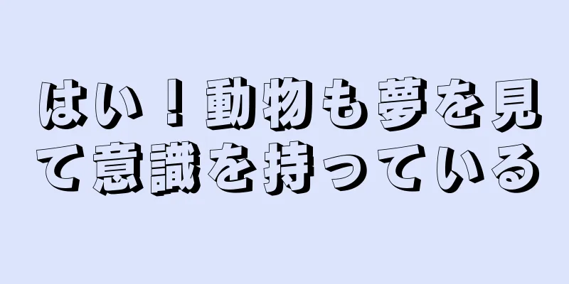 はい！動物も夢を見て意識を持っている