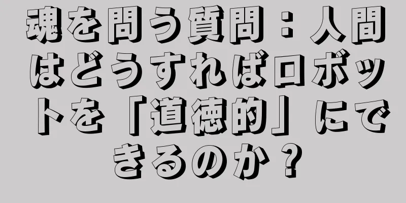 魂を問う質問：人間はどうすればロボットを「道徳的」にできるのか？