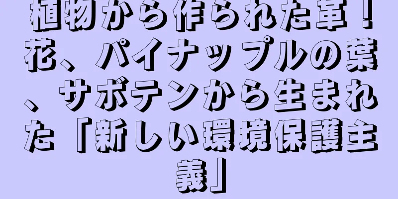 植物から作られた革！花、パイナップルの葉、サボテンから生まれた「新しい環境保護主義」