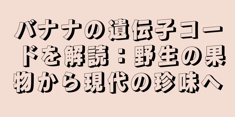 バナナの遺伝子コードを解読：野生の果物から現代の珍味へ