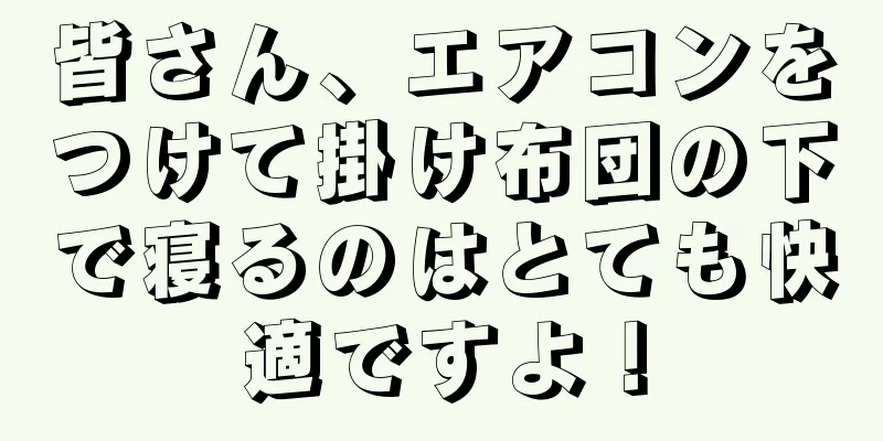 皆さん、エアコンをつけて掛け布団の下で寝るのはとても快適ですよ！