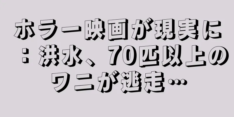 ホラー映画が現実に：洪水、70匹以上のワニが逃走…