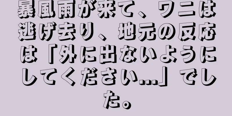 暴風雨が来て、ワニは逃げ去り、地元の反応は「外に出ないようにしてください...」でした。