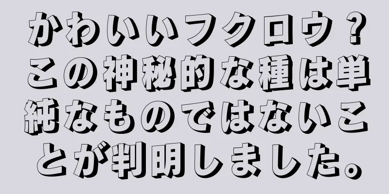 かわいいフクロウ？この神秘的な種は単純なものではないことが判明しました。