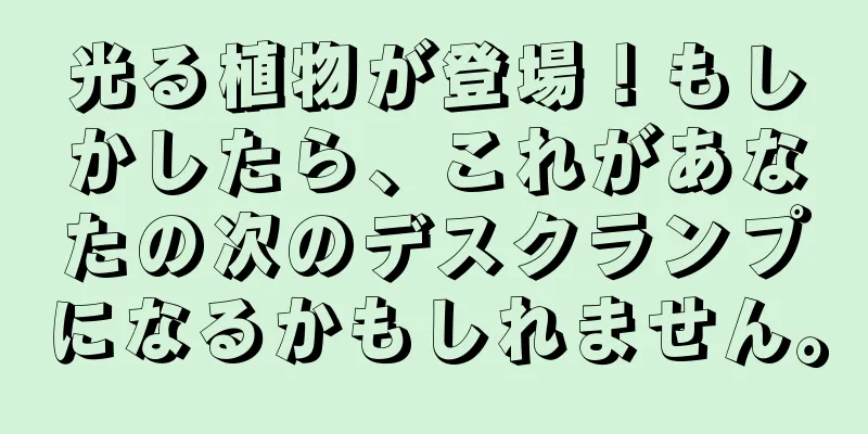 光る植物が登場！もしかしたら、これがあなたの次のデスクランプになるかもしれません。