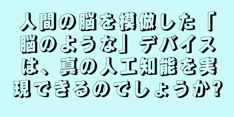 人間の脳を模倣した「脳のような」デバイスは、真の人工知能を実現できるのでしょうか?