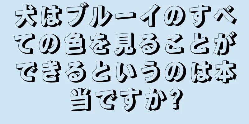 犬はブルーイのすべての色を見ることができるというのは本当ですか?