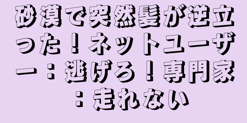 砂漠で突然髪が逆立った！ネットユーザー：逃げろ！専門家：走れない