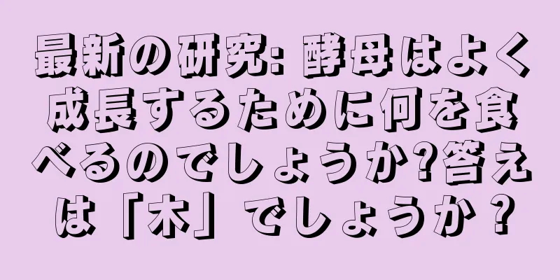 最新の研究: 酵母はよく成長するために何を食べるのでしょうか?答えは「木」でしょうか？