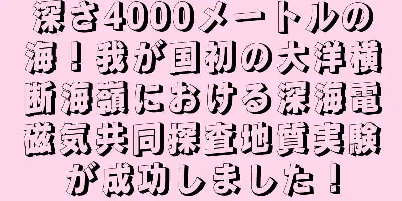 深さ4000メートルの海！我が国初の大洋横断海嶺における深海電磁気共同探査地質実験が成功しました！