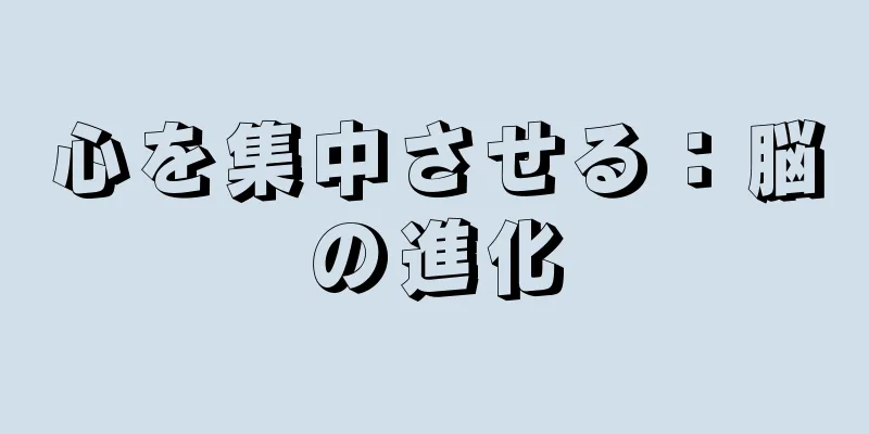 心を集中させる：脳の進化