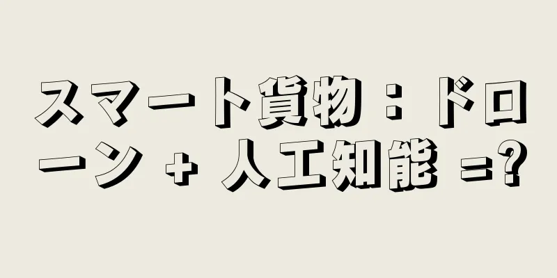 スマート貨物：ドローン + 人工知能 =?