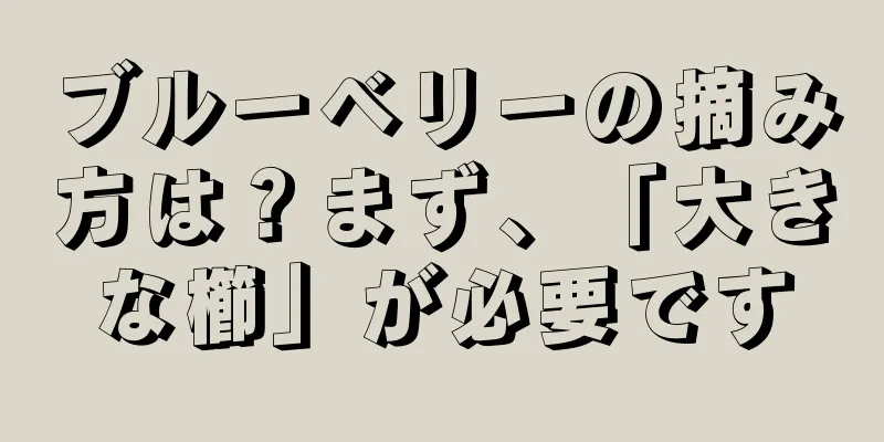 ブルーベリーの摘み方は？まず、「大きな櫛」が必要です