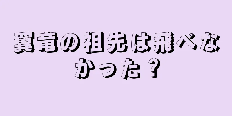 翼竜の祖先は飛べなかった？