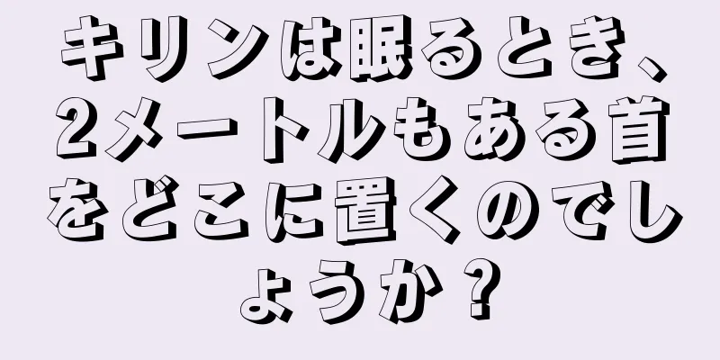 キリンは眠るとき、2メートルもある首をどこに置くのでしょうか？