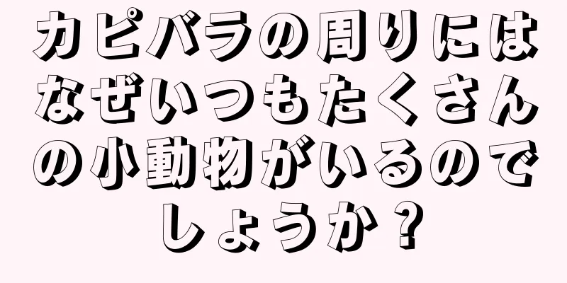 カピバラの周りにはなぜいつもたくさんの小動物がいるのでしょうか？