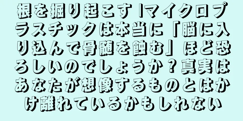 根を掘り起こす |マイクロプラスチックは本当に「脳に入り込んで骨髄を蝕む」ほど恐ろしいのでしょうか？真実はあなたが想像するものとはかけ離れているかもしれない
