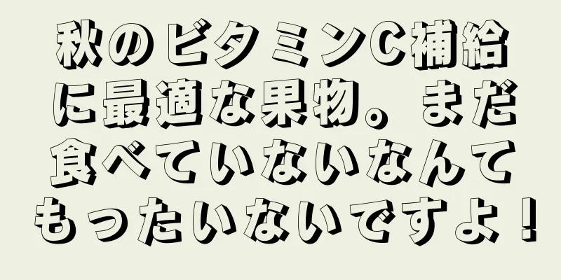 秋のビタミンC補給に最適な果物。まだ食べていないなんてもったいないですよ！