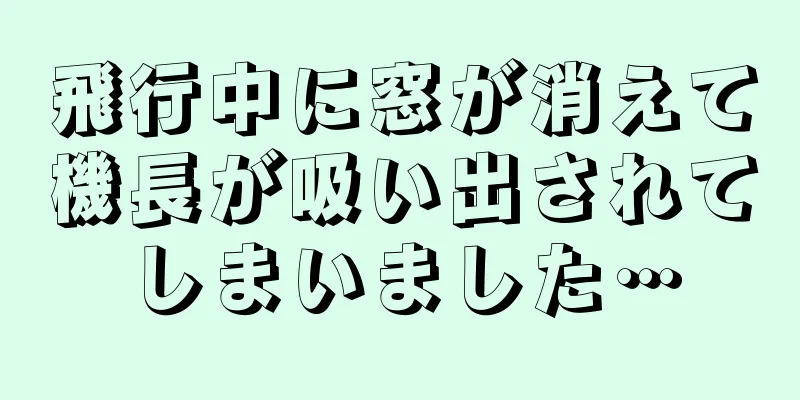 飛行中に窓が消えて機長が吸い出されてしまいました…