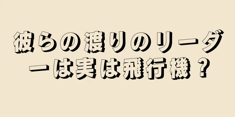 彼らの渡りのリーダーは実は飛行機？