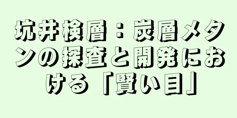 坑井検層：炭層メタンの探査と開発における「賢い目」
