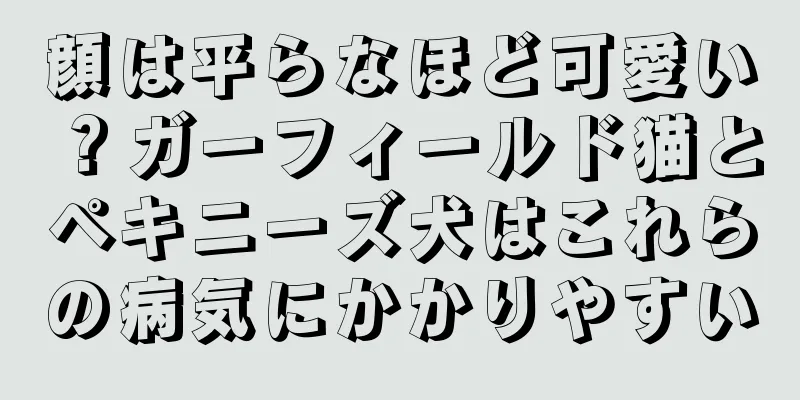 顔は平らなほど可愛い？ガーフィールド猫とペキニーズ犬はこれらの病気にかかりやすい