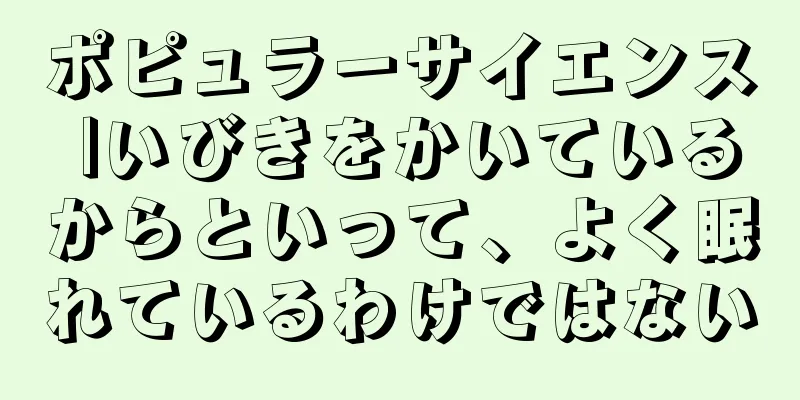 ポピュラーサイエンス |いびきをかいているからといって、よく眠れているわけではない