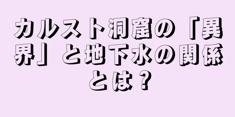 カルスト洞窟の「異界」と地下水の関係とは？