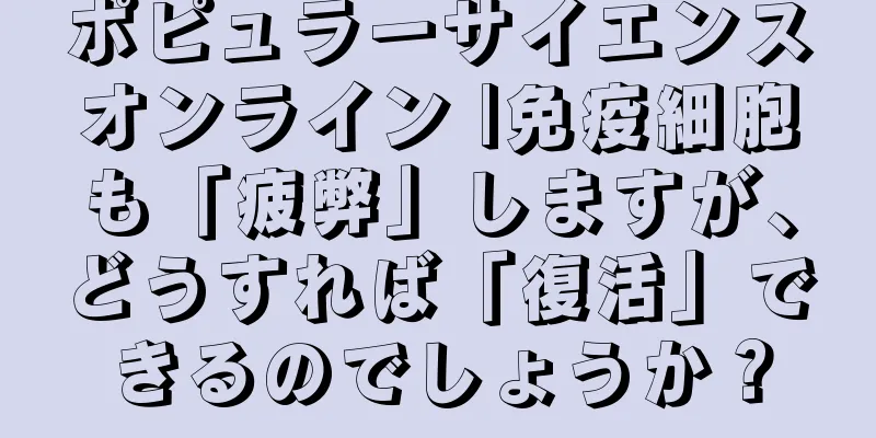 ポピュラーサイエンスオンライン |免疫細胞も「疲弊」しますが、どうすれば「復活」できるのでしょうか？