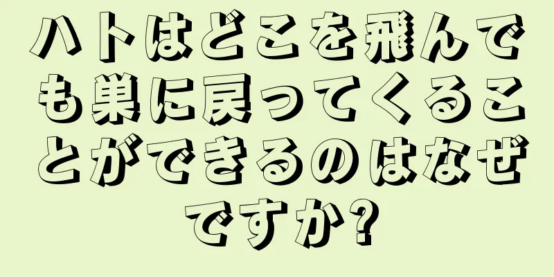 ハトはどこを飛んでも巣に戻ってくることができるのはなぜですか?