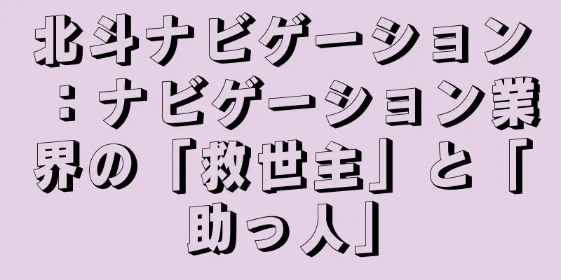 北斗ナビゲーション：ナビゲーション業界の「救世主」と「助っ人」