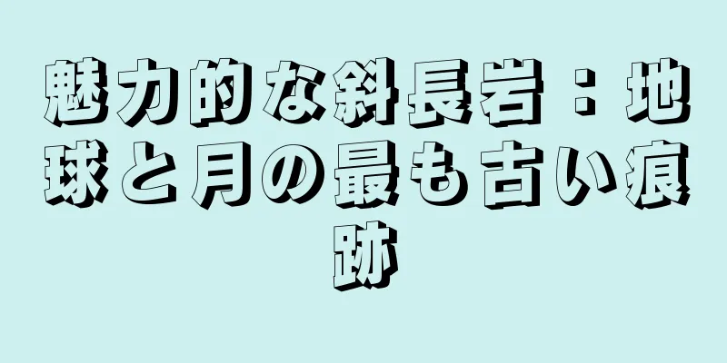 魅力的な斜長岩：地球と月の最も古い痕跡