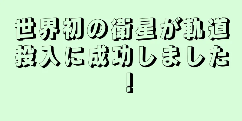 世界初の衛星が軌道投入に成功しました！