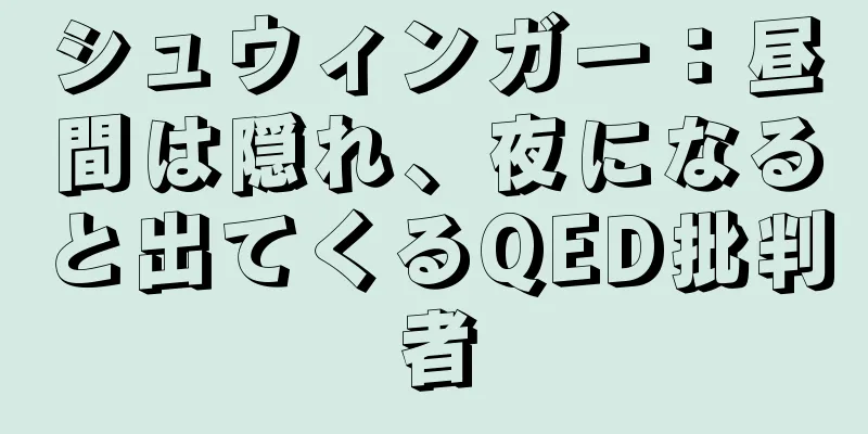 シュウィンガー：昼間は隠れ、夜になると出てくるQED批判者