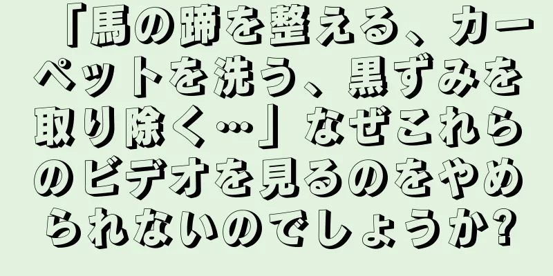 「馬の蹄を整える、カーペットを洗う、黒ずみを取り除く…」なぜこれらのビデオを見るのをやめられないのでしょうか?