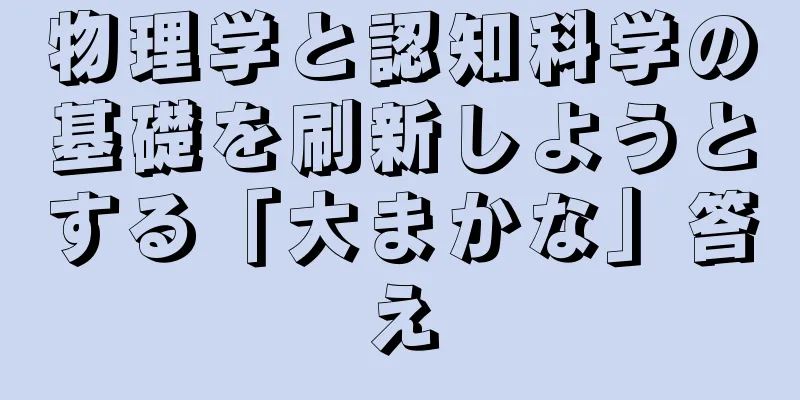 物理学と認知科学の基礎を刷新しようとする「大まかな」答え