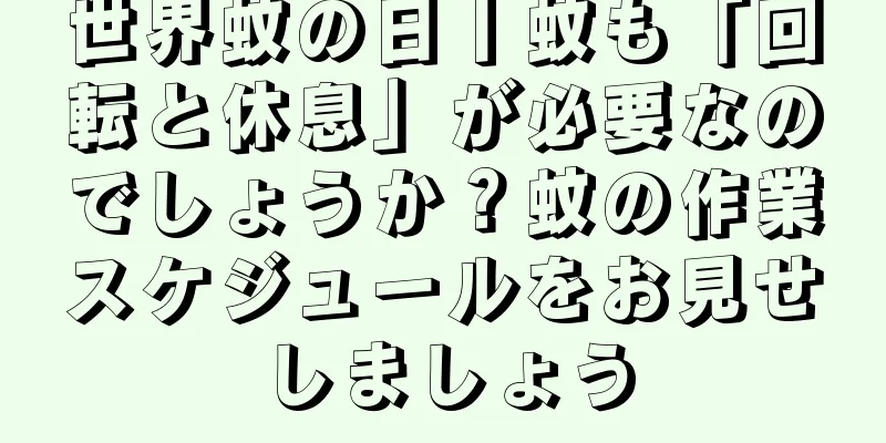 世界蚊の日丨蚊も「回転と休息」が必要なのでしょうか？蚊の作業スケジュールをお見せしましょう