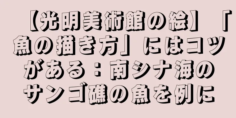【光明美術館の絵】「魚の描き方」にはコツがある：南シナ海のサンゴ礁の魚を例に