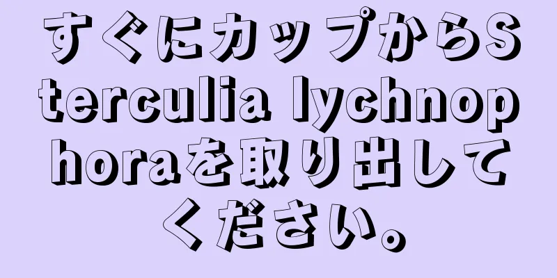すぐにカップからSterculia lychnophoraを取り出してください。