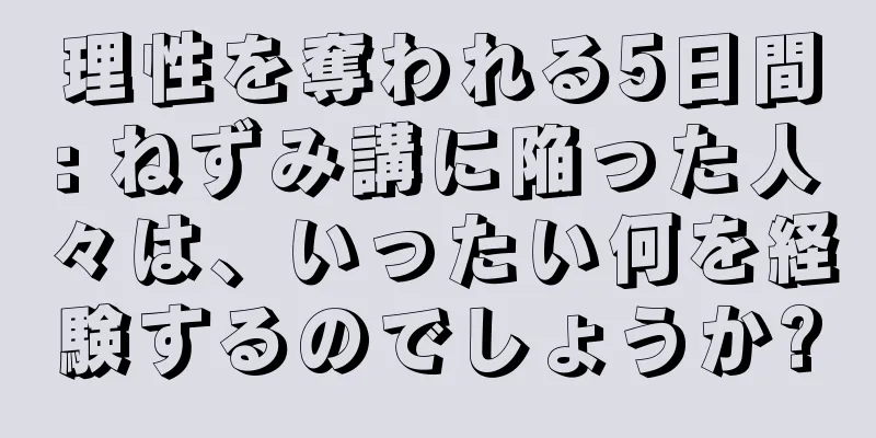 理性を奪われる5日間: ねずみ講に陥った人々は、いったい何を経験するのでしょうか?