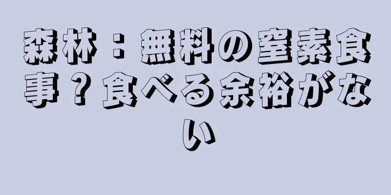 森林：無料の窒素食事？食べる余裕がない